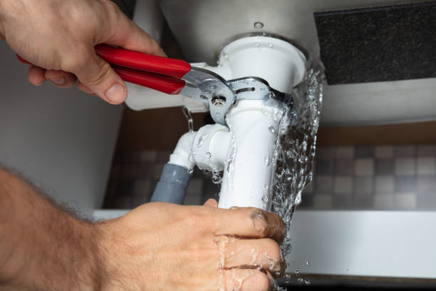 Best 24/7 water damage repair  in Lake View, AL