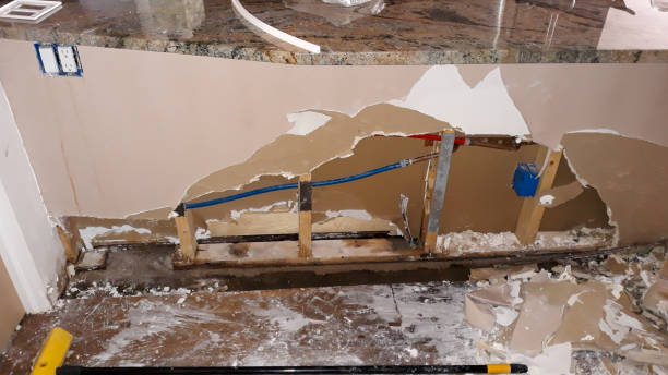 Best Carpet water damage restoration  in Lake View, AL