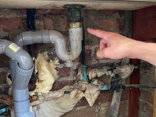 Best 24-hour water damage restoration  in Lake View, AL